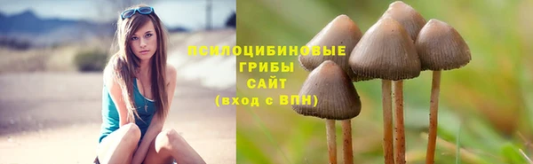 spice Кулебаки