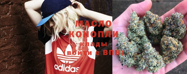 тгк Кукмор