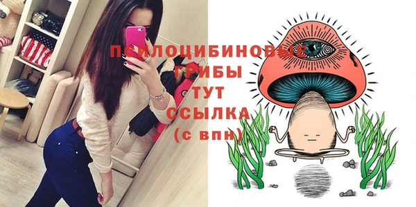 твердый Новочеркасск