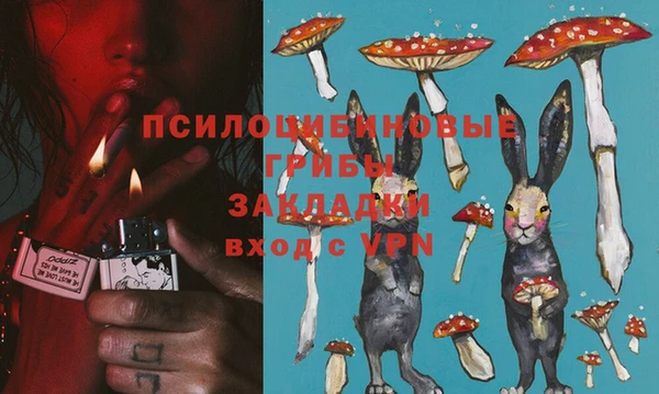 дживик Куйбышев
