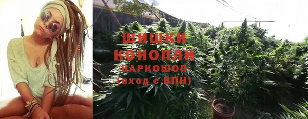 тгк Кукмор