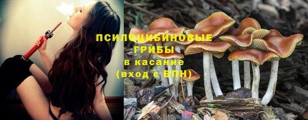 тгк Кукмор